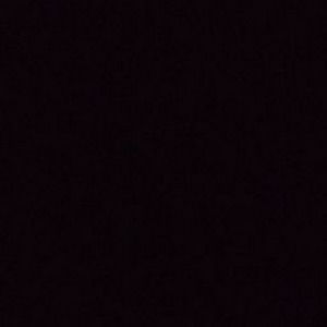 Meet your Posher, Misty